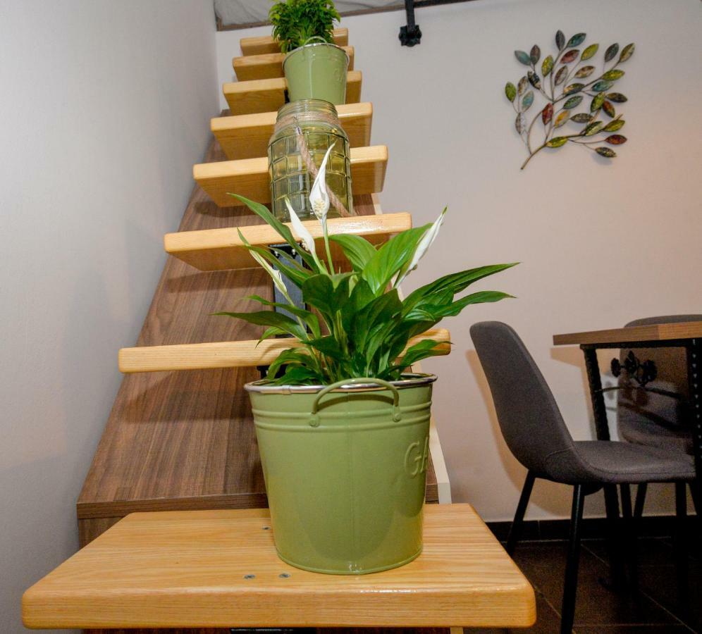 Vintage Garden Apartment بولا المظهر الخارجي الصورة