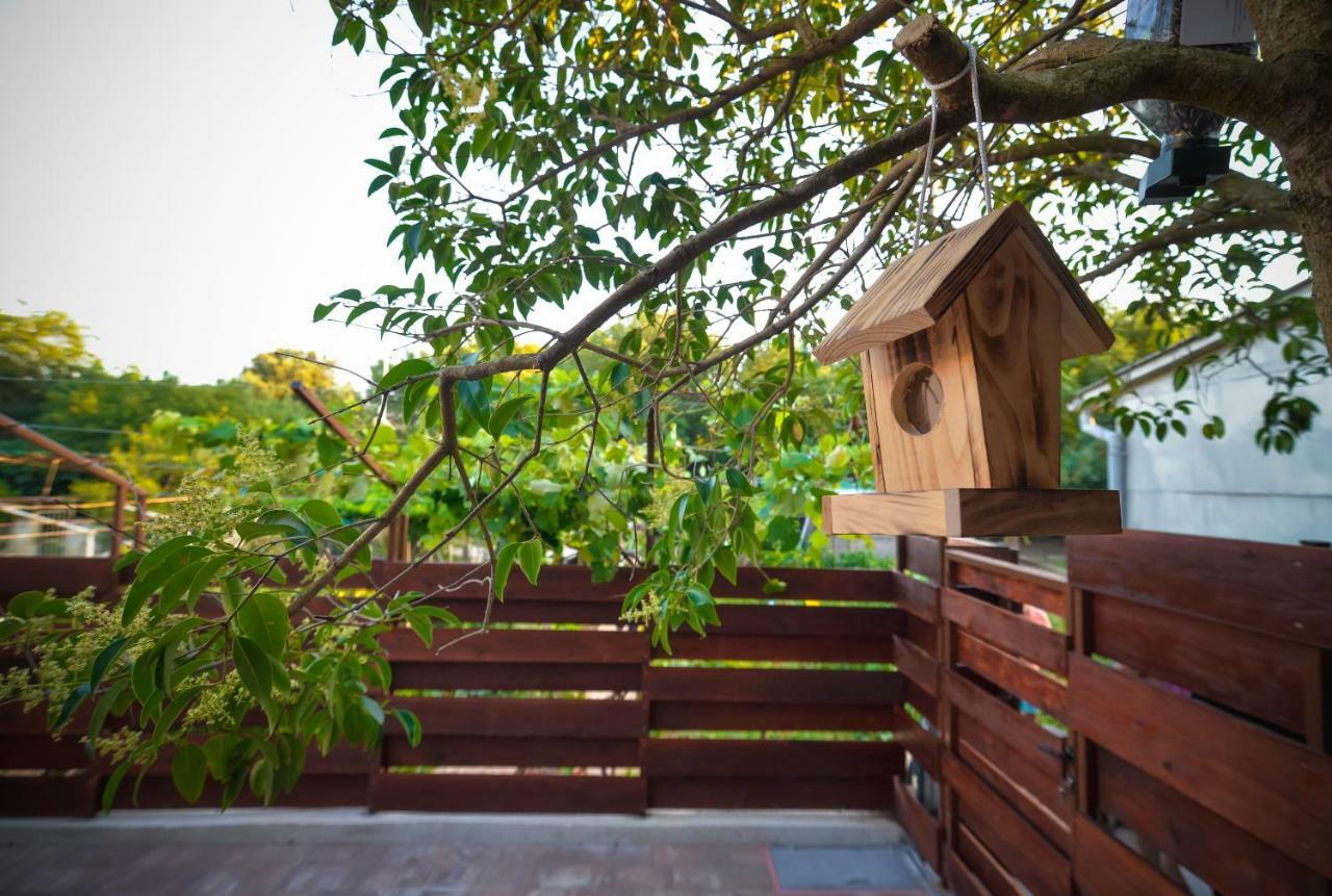 Vintage Garden Apartment بولا المظهر الخارجي الصورة